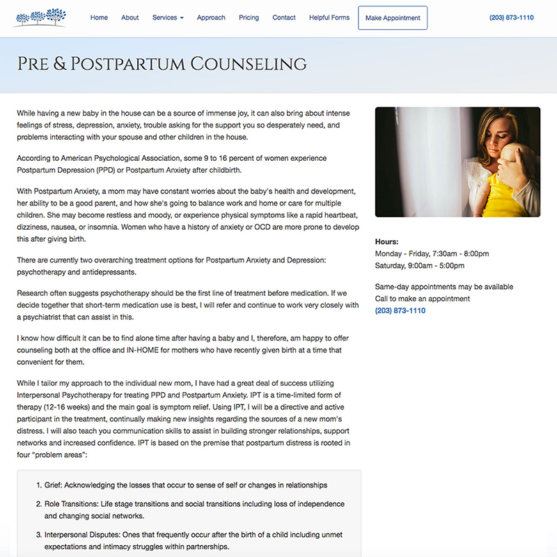 Connecticut Counseling Services Website Design Screenshot 3