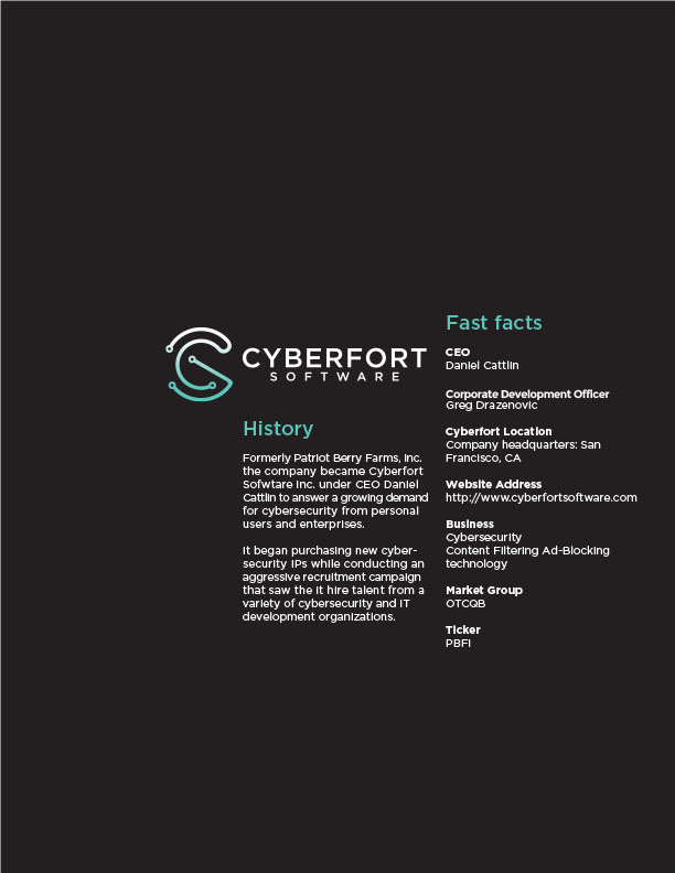 Cyberfort Software Company Fact Sheet Page 4