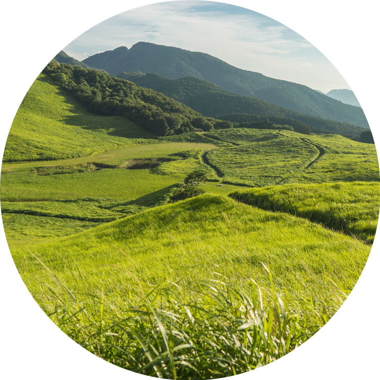 Green Landscape with green mountains and blue sky