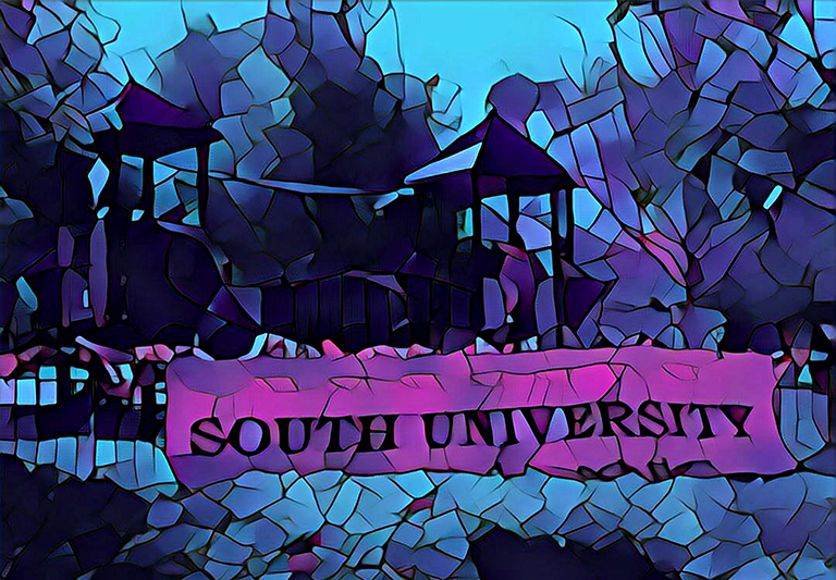 South University Neighborhood Urban Planning Report Alternative Cover 3