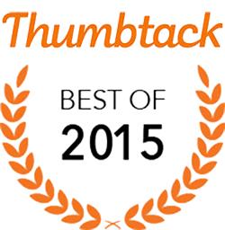 Thumbtack Best Pro of 2015